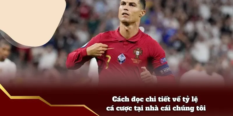 Cách đọc chi tiết về tỷ lệ cá cược tại nhà cái chúng tôi