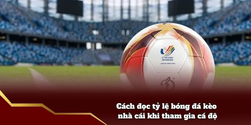 Cách đọc tỷ lệ bóng đá kèo nhà cái khi tham gia cá độ