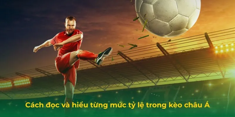 Cách đọc và hiểu từng mức tỷ lệ trong kèo châu Á