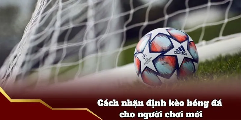 Cách nhận định kèo bóng đá cho người chơi mới
