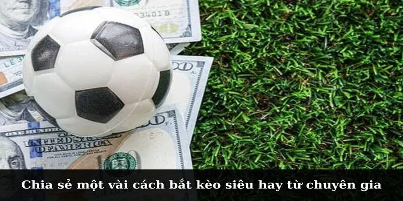 Chia sẻ một vài cách bắt kèo siêu hay từ chuyên gia