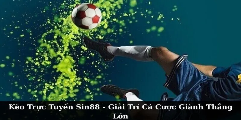 Những giải đấu có tại trang cá cược