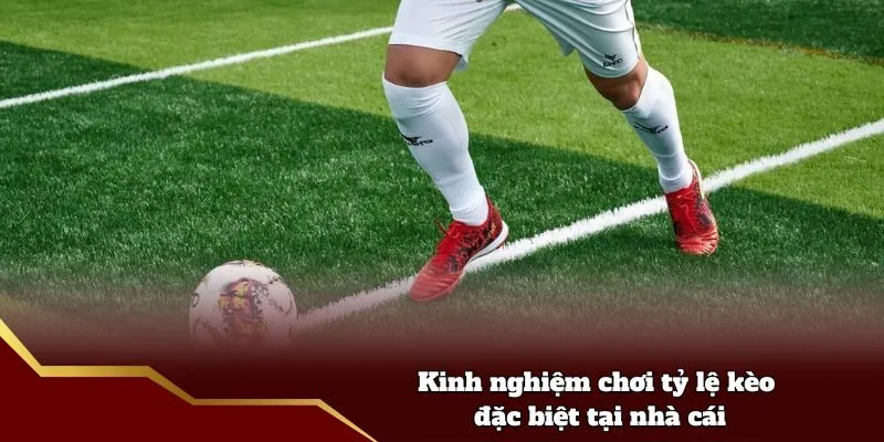 Kinh nghiệm chơi tỷ lệ kèo đặc biệt tại nhà cái