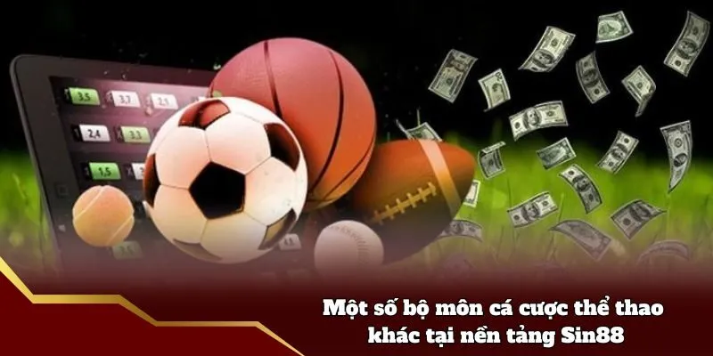 Một số bộ môn cá cược thể thao khác tại nền tảng Sin88