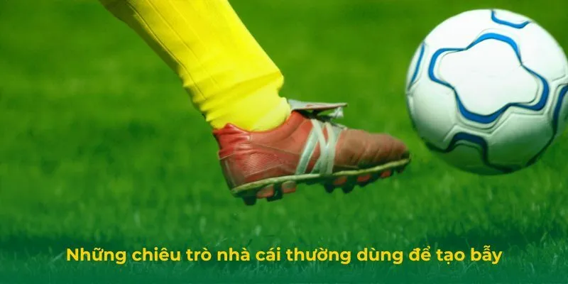 Những chiêu trò nhà cái thường dùng để tạo bẫy