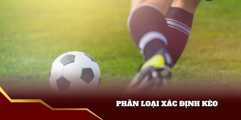 Phân loại và xác định kèo