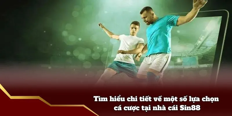 Tìm hiểu chi tiết về một số lựa chọn cá cược tại nhà cái Sin88
