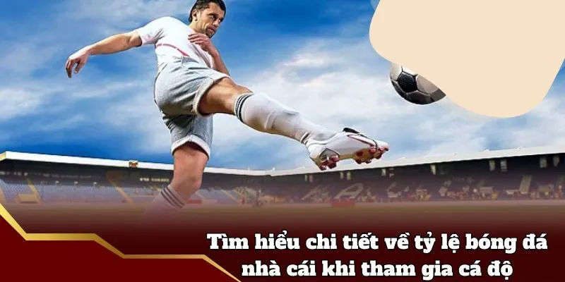 Tìm hiểu chi tiết về tỷ lệ bóng đá nhà cái khi tham gia cá độ