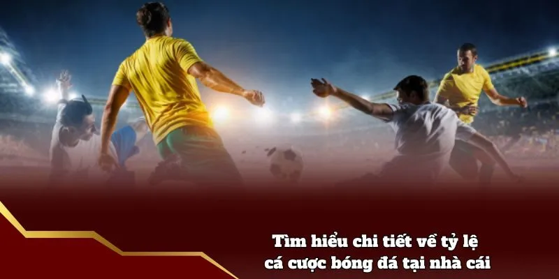 Tìm hiểu chi tiết về tỷ lệ cá cược bóng đá tại nhà cái