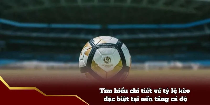 Tìm hiểu chi tiết về tỷ lệ kèo đặc biệt tại nền tảng cá độ