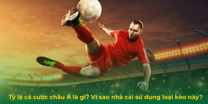 Tỷ lệ cá cược châu Á là gì? Vì sao nhà cái sử dụng loại kèo này?